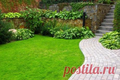 Дизайн маленького участка: 10 отличных идей | Свежие идеи дизайна интерьеров, декора, архитектуры на INMYROOM