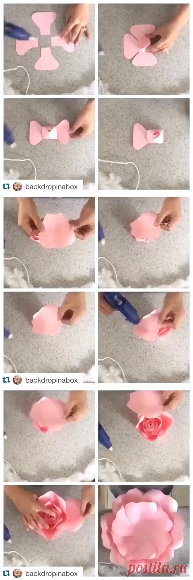 Danielle Gonzales (@backdropinabox) • Instagram photos and videos