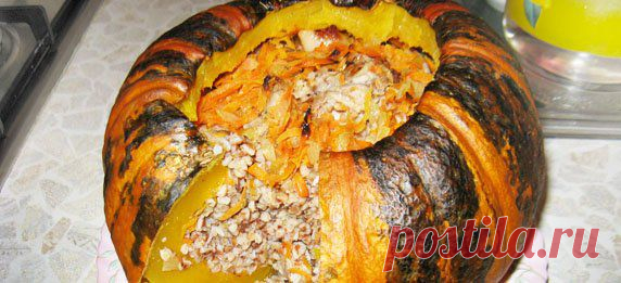 Фаршированная тыква, запеченная в духовке, с гречкой и мясом - пошаговый рецепт приготовления с фото