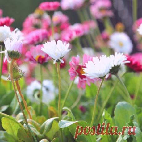 А говорят, что в Крыму сейчас плохо. Сами посмотрите