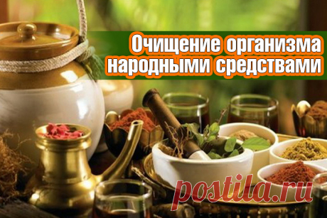 Очищение организма народными средствами | Полезные советы