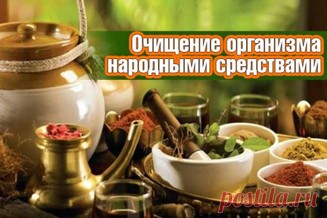 Очищение организма народными средствами | Полезные советы