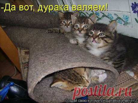 Одноклассники