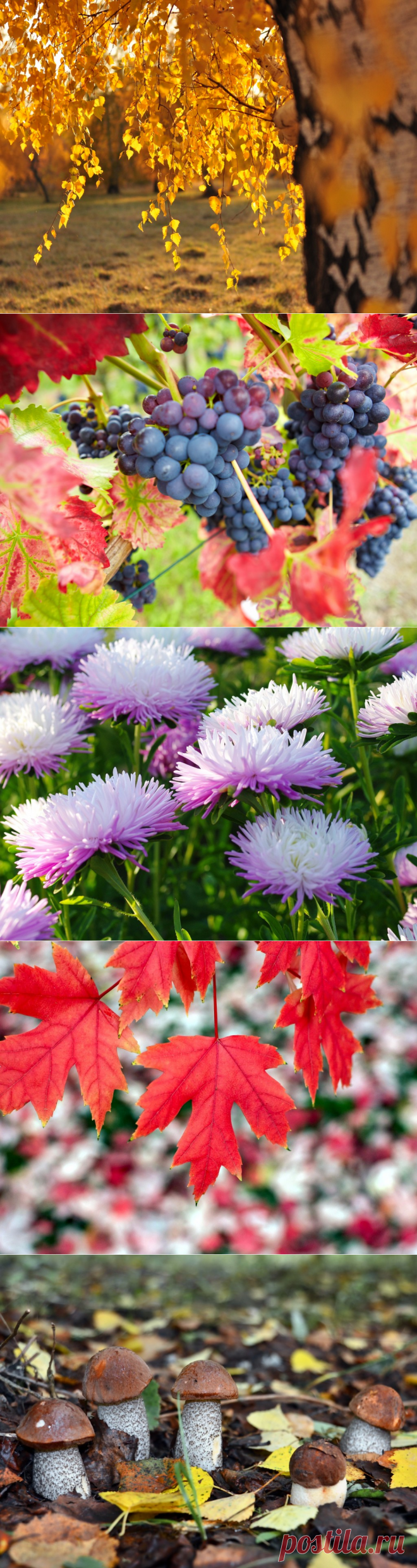 невероятно красивые осенние открытки!!! чудесно!!!!!!!!!!! - КРАСИВЫЕ КАРТИНКИ. ВИДЕО. МИР, В КОТОРОМ МЫ ЖИВЕМ! - Группы Мой Мир