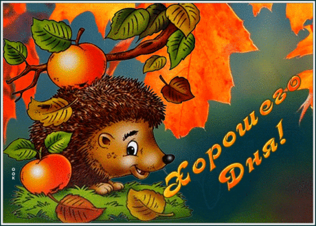 Открытка хорошего дня с очаровательным ежиком