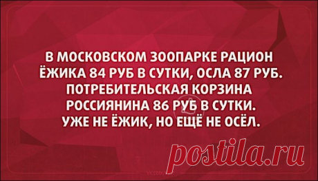 Подборка открыток | Prikolisti.com