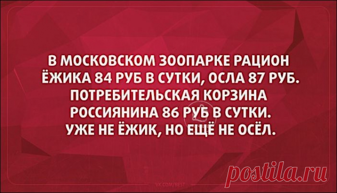 Подборка открыток | Prikolisti.com