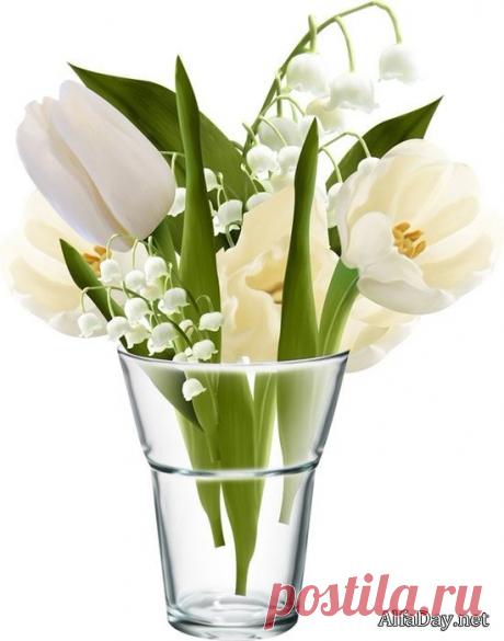 (4) Одноклассники