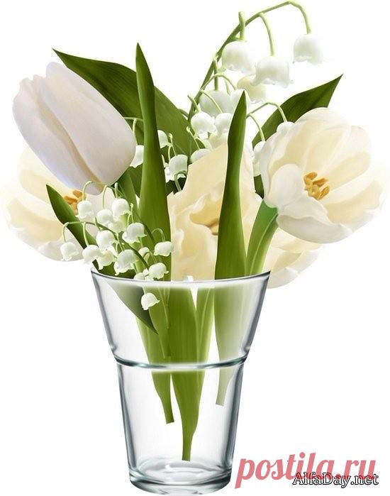 (4) Одноклассники