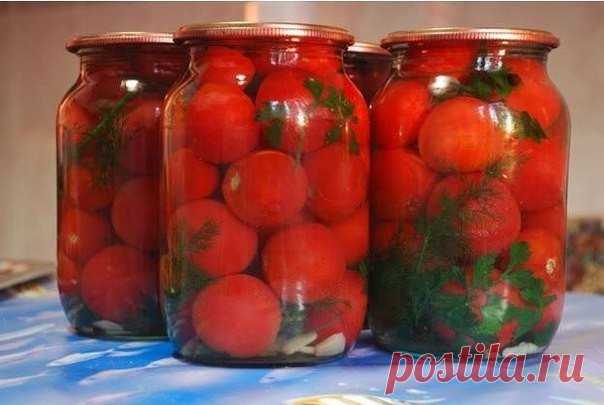 Маринованные помидоры 