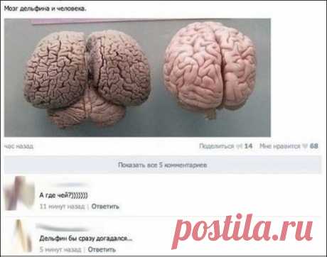 А давайте улыбнёмся - ЯПлакалъ