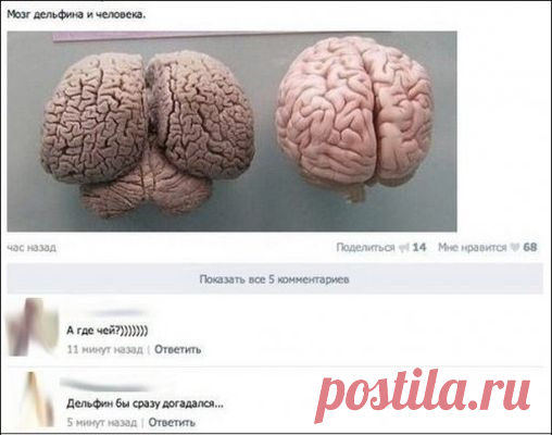 А давайте улыбнёмся - ЯПлакалъ