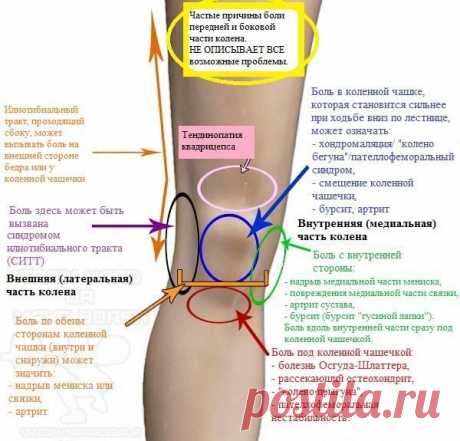 66r_qVIOfus.jpg (600×575)