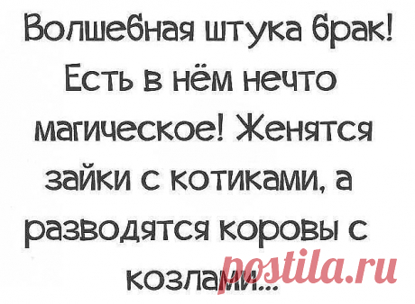 СТАТУСЫ, ЦИТАТЫ, АФОРИЗМЫ