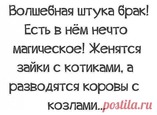 СТАТУСЫ, ЦИТАТЫ, АФОРИЗМЫ