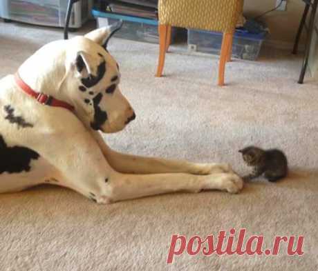 (1) Facebook