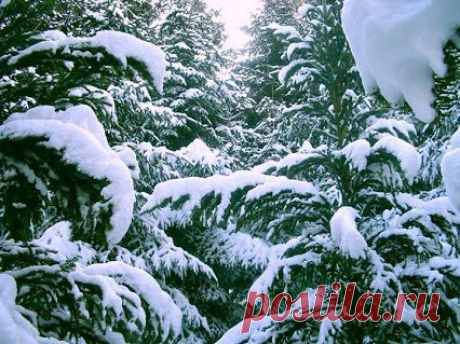 yur-god_yura-altar – Google+
