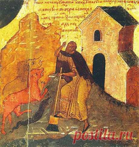 19 ноября.Если этот день снежный, то и зима будет снежная и холодная.С этого дня хозяйки добавляют в постные блюда мак.