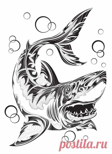 Сообщество иллюстраторов / Иллюстрации / Копырин Андрей / Акула