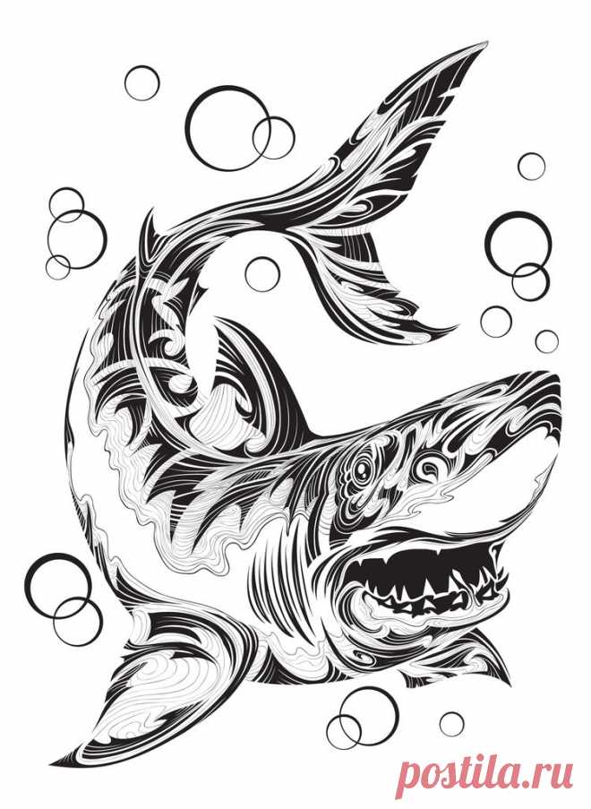 Сообщество иллюстраторов / Иллюстрации / Копырин Андрей / Акула