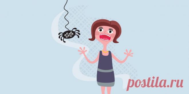 Как прогнать насекомых натуральными средствами - Лайфхакер