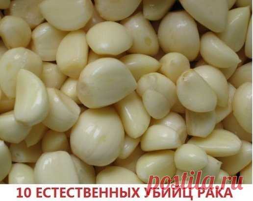 10 ЕСТЕСТВЕННЫХ УБИЙЦ РАКА
1. Чеснок
Чеснок не только защищает от вампиров, но и благодаря особым соединениям повышает активность клеток иммунной системы, что отвечает за сопротивление раку. Учеными давно доказано, что чеснок снижает риск развития сердечных болезней и инсульта. Более того, он способен защитить от рака желудка и рака кишечника - двух крупнейших болезней-убийц на планете.
Исследования доказали, что те, кто употребляет чеснок регулярно, сталкиваются
 с раком желудка и кишечника гор
