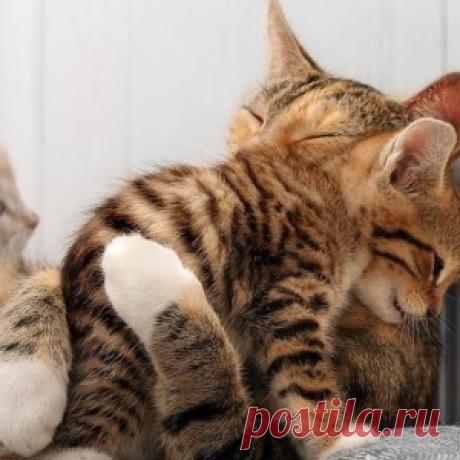 Мнения читателей EADaily относительно роли Ленина полярно разделились