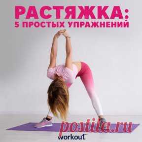 По статистике, у гибких людей день проходит успешней