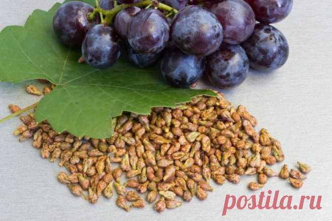 Польза виноградной косточки! Рецепты - Полезные и вредные продукты - Женский Мир