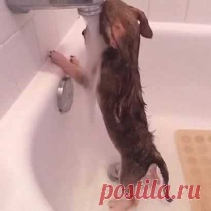 Одноклассники