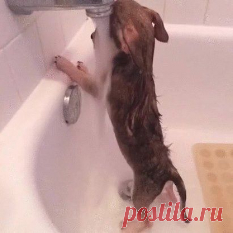 Одноклассники
