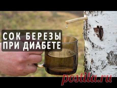 Полезен ли березовый сок при сахарном диабете?