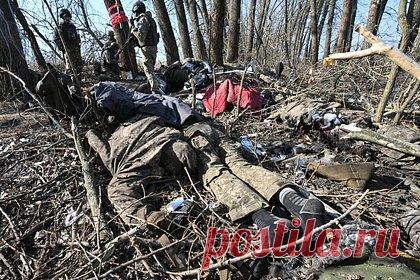 Опубликованы фото с вещами ликвидированной на подступах к России украино-колумбийской ДРГ