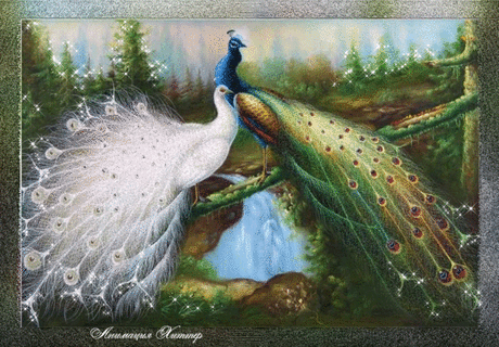 плейкасты павлины: 24 тыс изображений найдено в Яндекс.Картинках