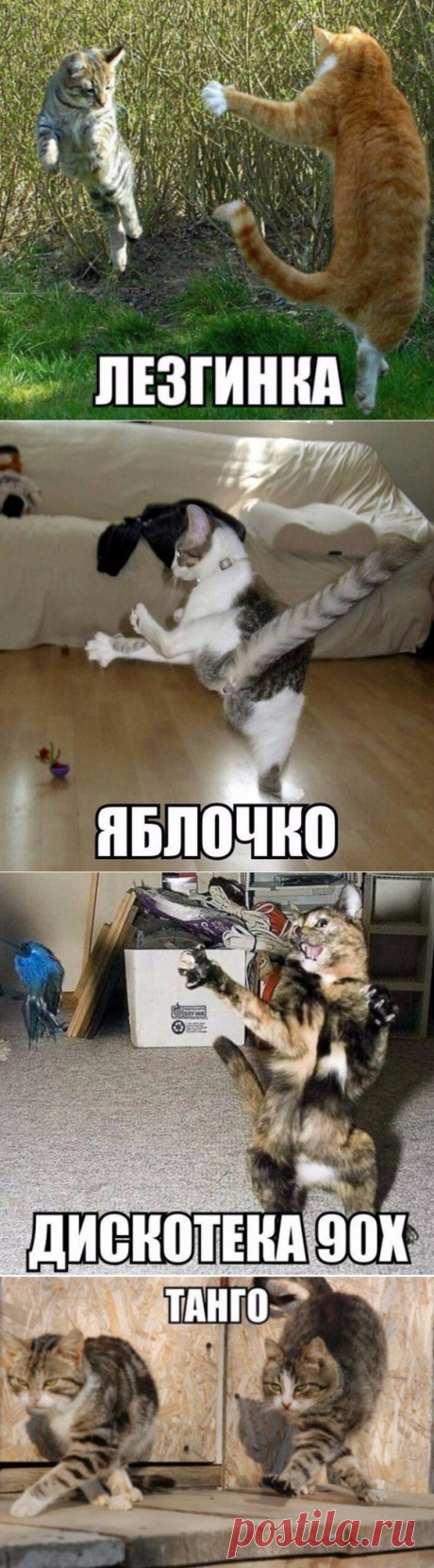 Уроки танцев от лучших преподавателей.