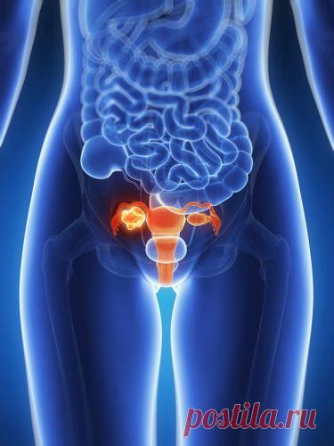 ПО СОВЕТУ ВОЕННОГО ВРАЧА / Популярная медицина