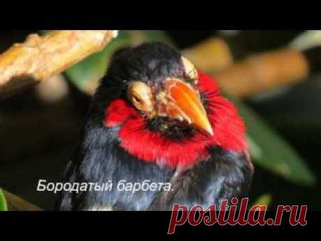 Юрий Пахомов