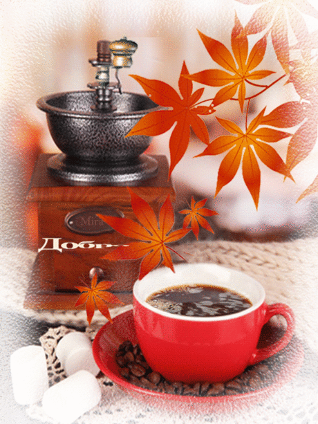 988593561.gif (563×750)