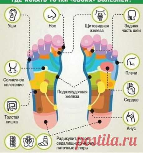 (5) НАРОДНАЯ МЕДИЦИНА.ЗНАХАРЬ | Группы | Facebook