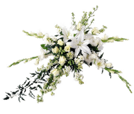 Плейкаст «La Shate mi cantare.....»