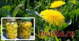 Păpădia a fost o plantă populară de mii de ani, și proprietățile sale medicinale au fost utilizate în tratamentul diferitelor boli și condiții de sănătate. Detoxifica ficatul, stimulează producția de bilă, regleaza nivelul de colesterol, trateaza alergiile, si este de … Continuă citirea →