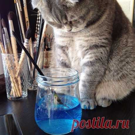 Пушистая бестия обязательно должна проверить рабочее место... Рисуем....