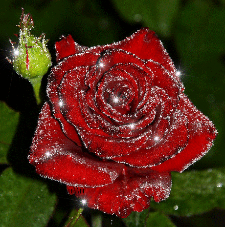 хх