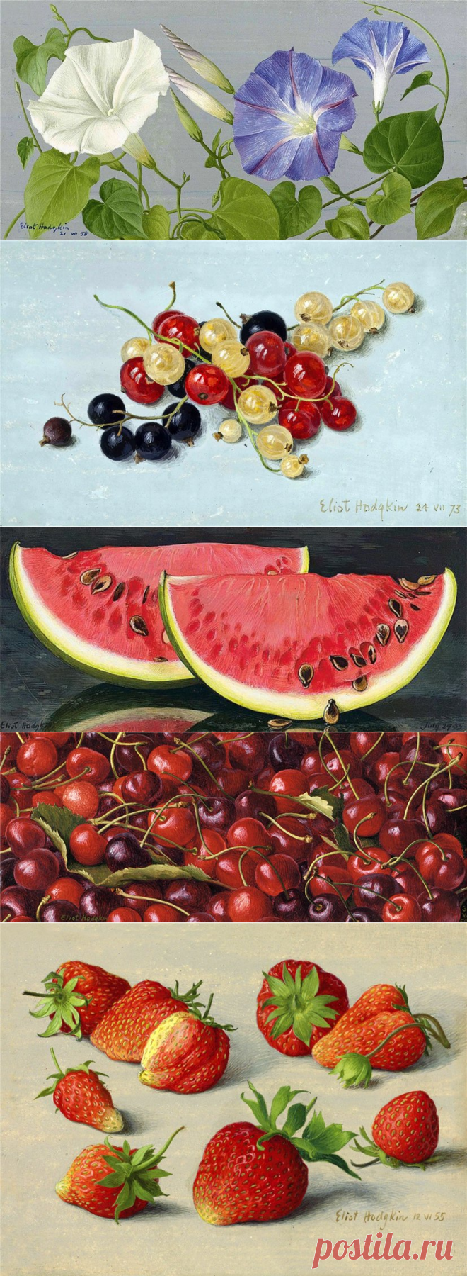 英国艺术家ELIOT HODGKIN（1905年至1987年）花果香