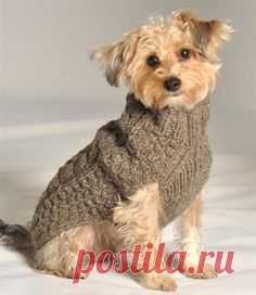 This beautiful sweater will add to your dog's warmth and cuteness! This sweater is made of 100% wool! All sweaters are handmade & may vary slightly in color & style.
