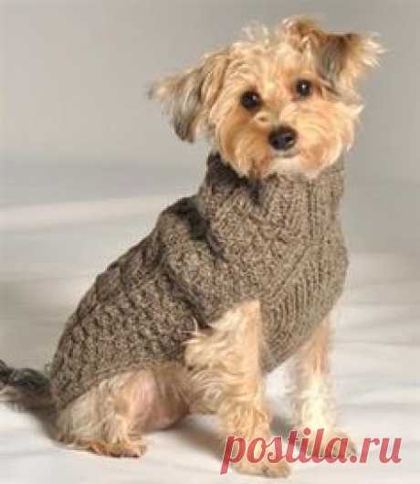 This beautiful sweater will add to your dog's warmth and cuteness! This sweater is made of 100% wool! All sweaters are handmade & may vary slightly in color & style.