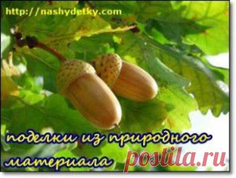 Детские поделки из природного материала