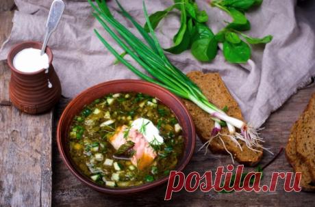 Холодная ботвинья с квасом / Простые рецепты