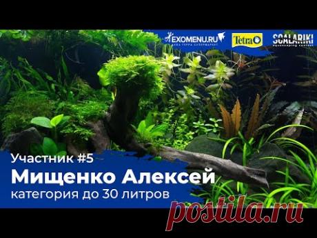 Травник 30 литров. Участник №5 в категории до 30 литров #Scalariki​ Aquascaping Contest 2021 - YouTube