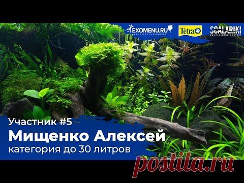 Травник 30 литров. Участник №5 в категории до 30 литров #Scalariki​ Aquascaping Contest 2021 - YouTube